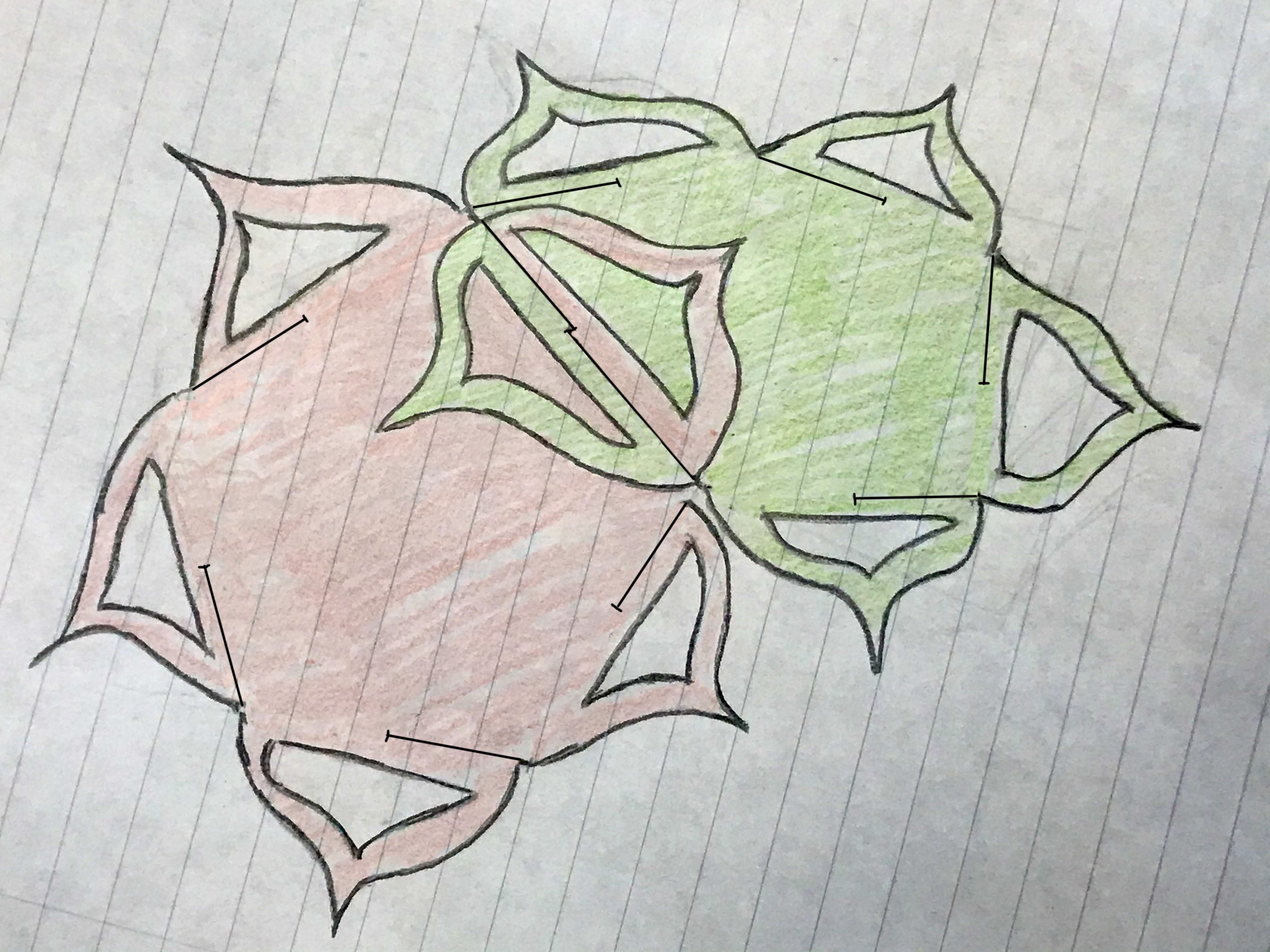 Colors help to illustrate how two identical modules are passed into one-another at their interconnection. two-engaged-slit-cut-modules