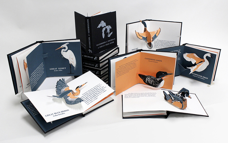 Danish_Licata_2015-12_waterbirdsofmichigan.jpg water-birds-of-michigan