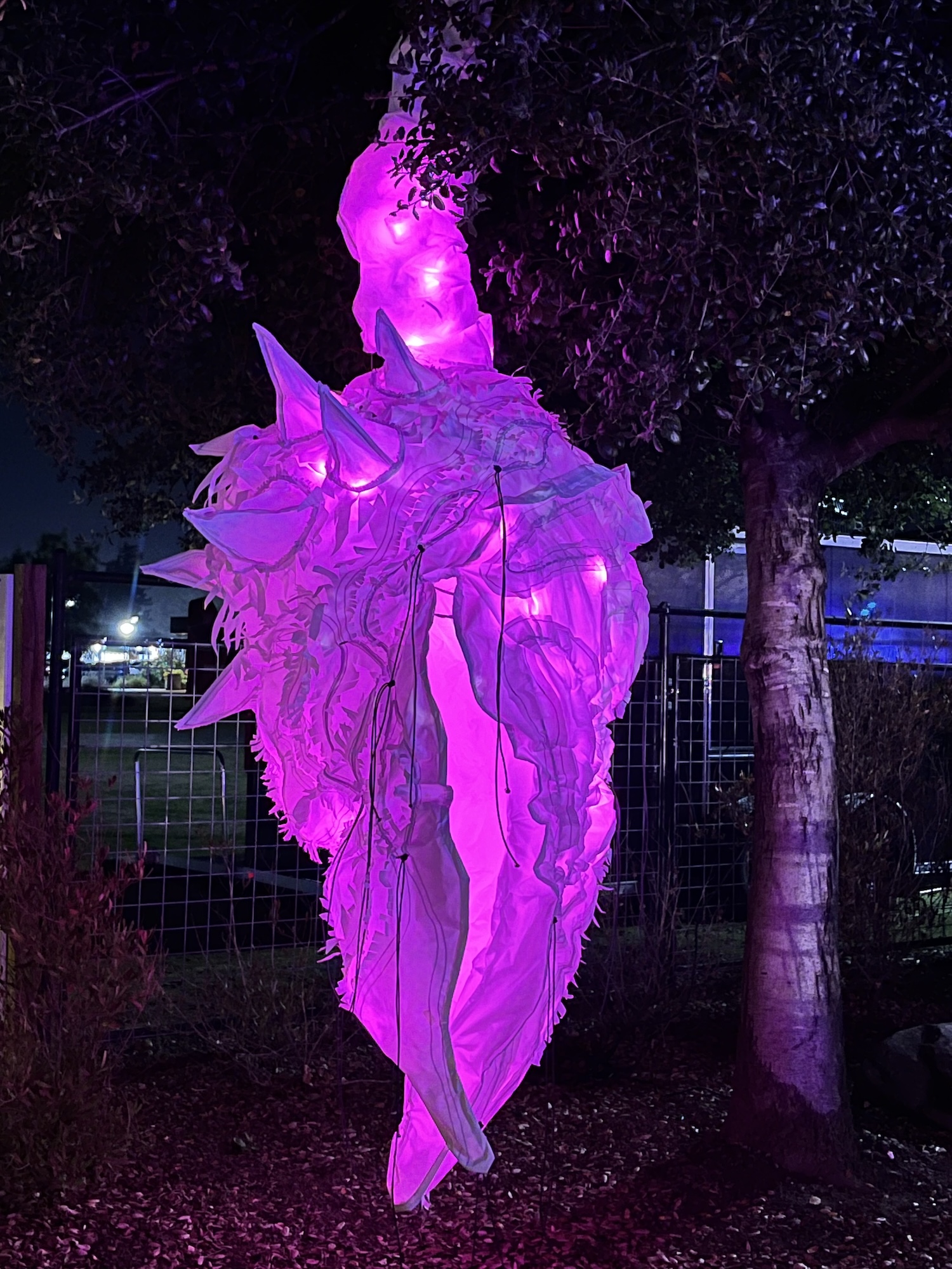 dennise-sosa-5-art33a-fa25