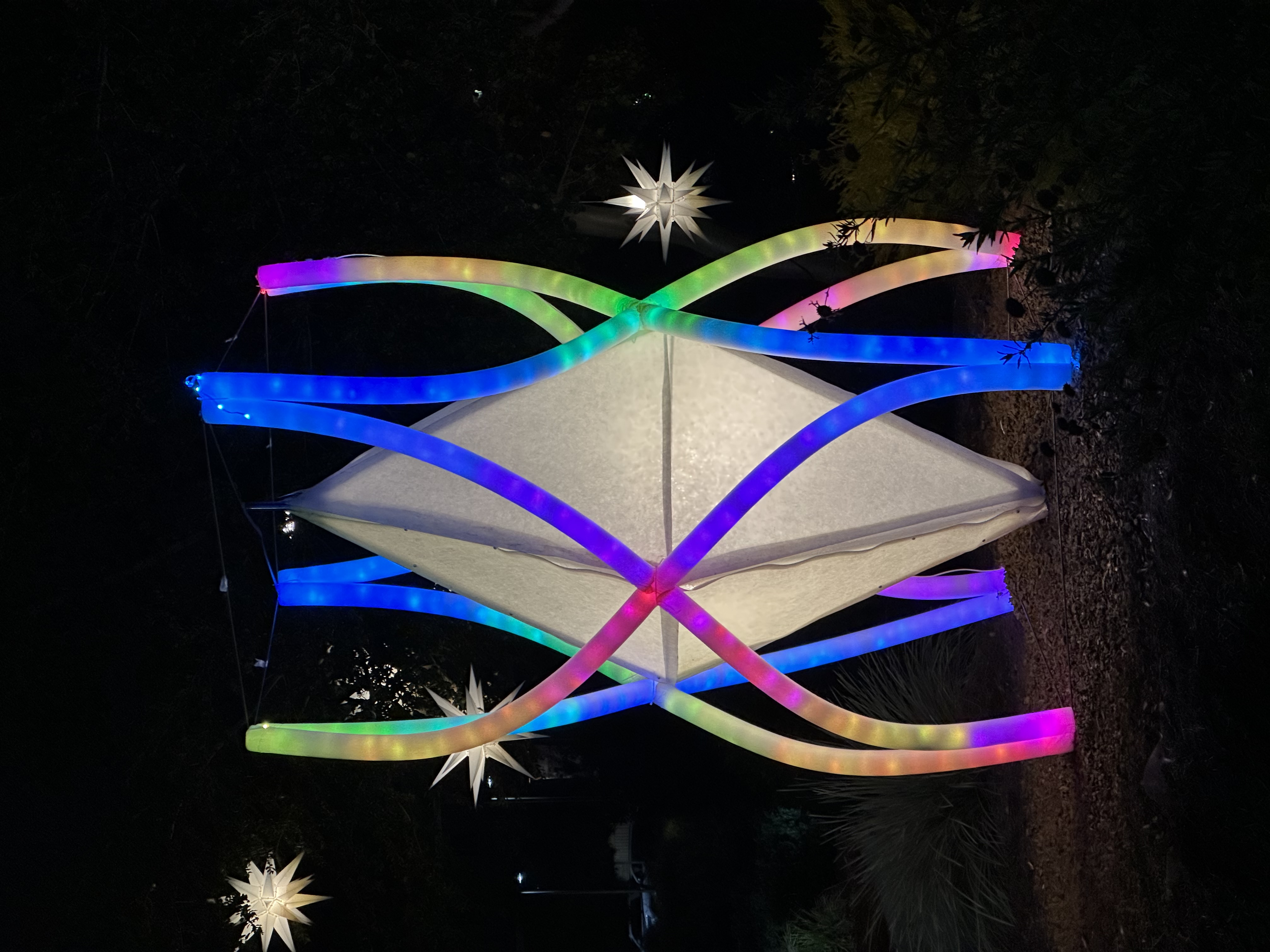 fiona-bunting-thy-hoang-5-art5-fa25