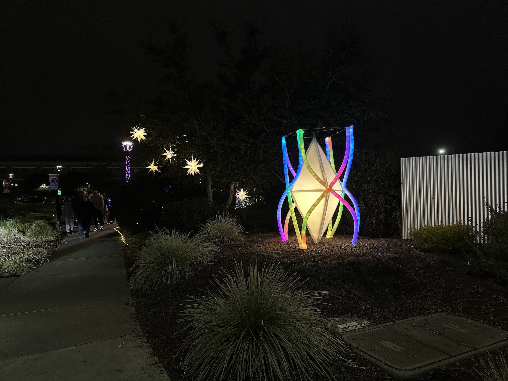 fiona-bunting-thy-hoang-6-art5-fa25