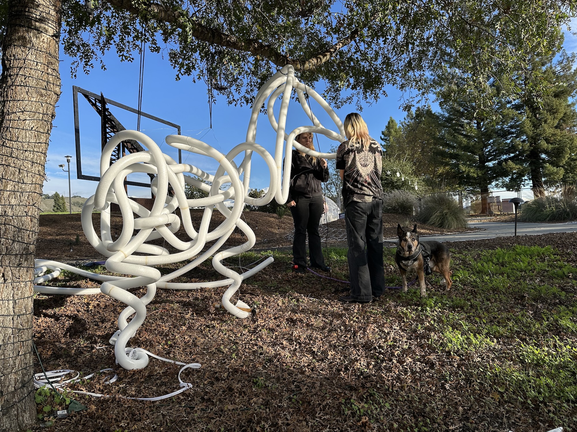 rae-conners-2-art33a-fa25