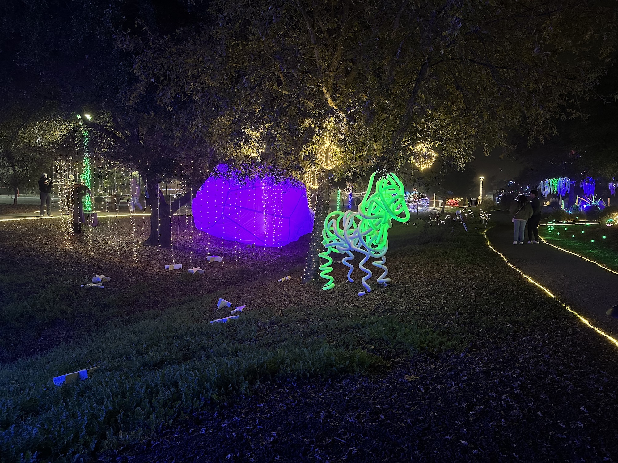 rae-conners-3-art33a-fa25