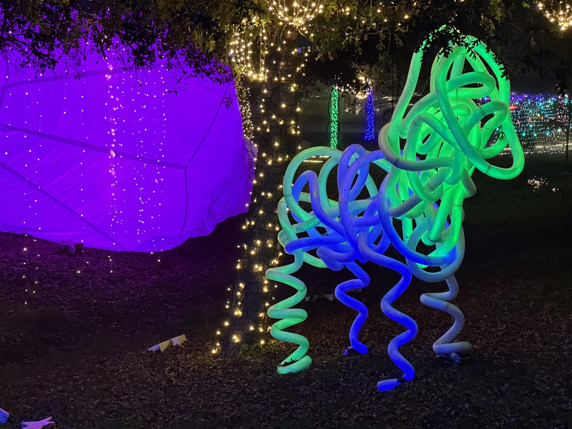 rae-conners-4-art33a-fa25