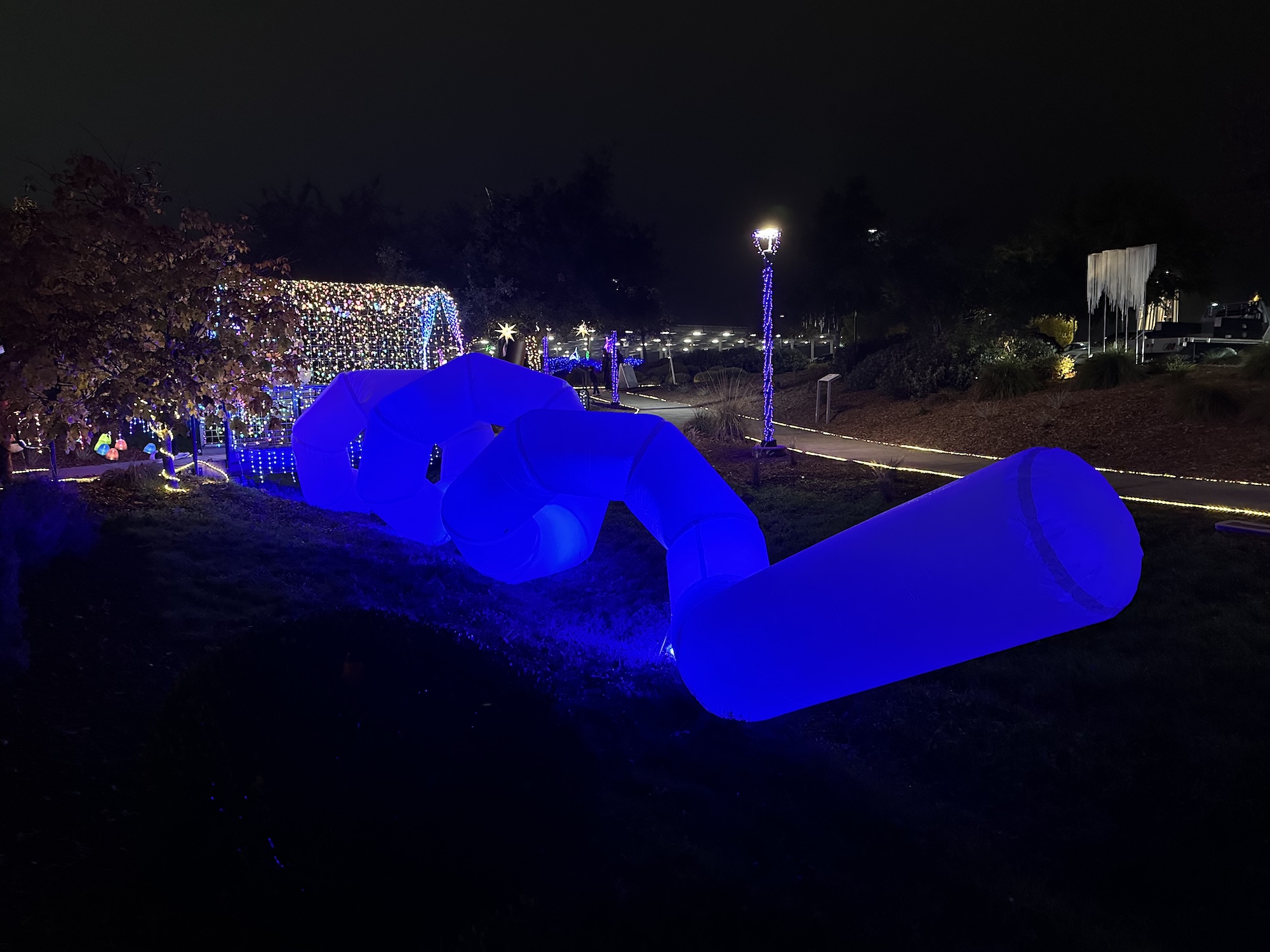 sammy-hammond-12-art33a-fa25