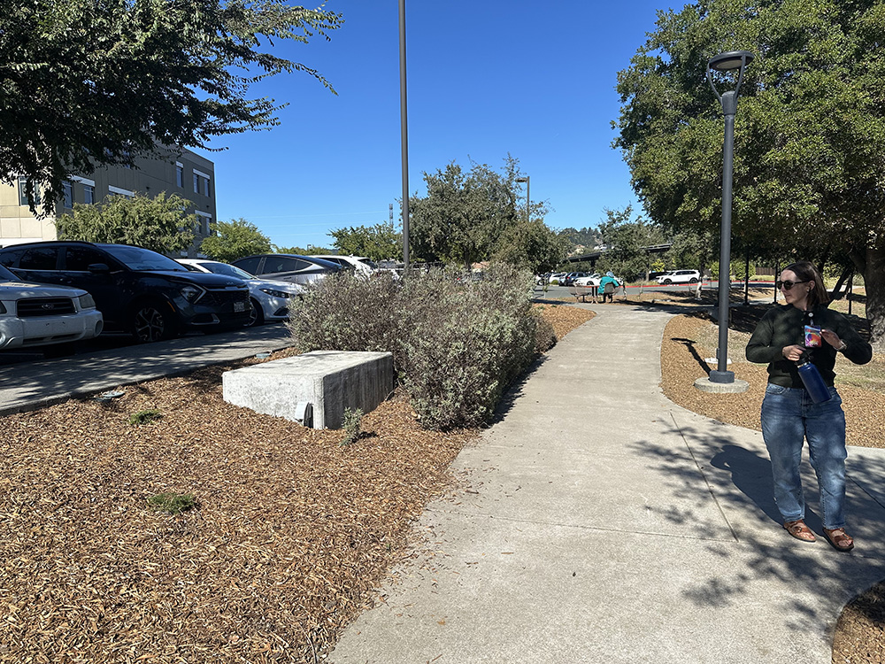 site-2