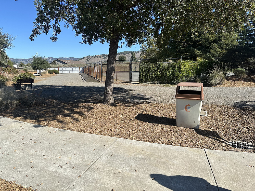 site-3